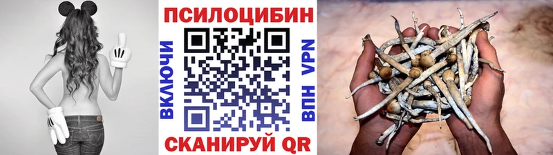 Псилоцибиновые грибы Cubensis  Гай 
